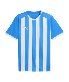 PUMA teamLIGA26 Striped Trikot Blau F02 - blau