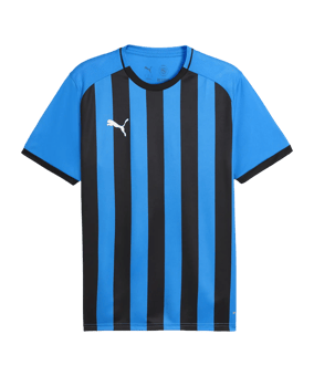 PUMA teamLIGA26 Striped Trikot Blau F12 - blau