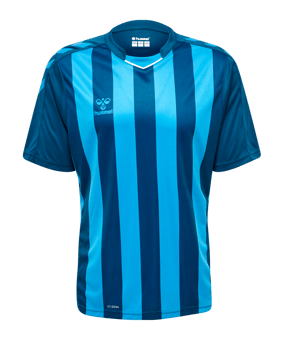 Hummel hmlCORE XK Striped Trikot Blau F7096 - blau