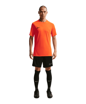 Nike Park VIII Trikot Orange F819 - orange