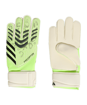 adidas Predator Match Torwarthandschuhe Grün - gruen