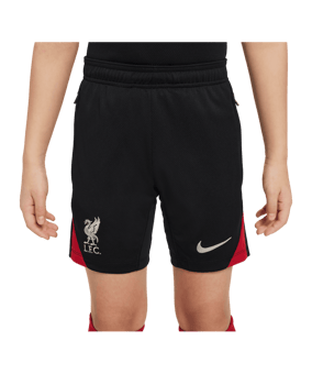 Nike FC Liverpool Trainingsshort Kids Schwarz F010 - grau