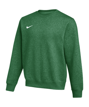 Nike Park 26 Sweatshirt Grün F302
