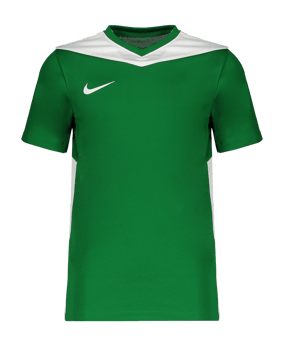 Nike Park Derby IV Trikot Kids Grün F302 - gruen