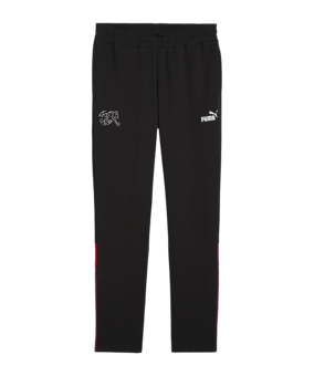PUMA Schweiz Ftbl Archive Trainingshose EM 2024 Schwarz F14 - schwarz