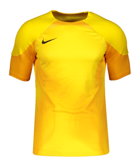 Nike Gardien IV Torwarttrikot Gelb F719 - gelb
