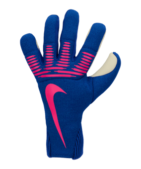 Nike Dynamic Torwarthandschuhe Blau F458 - blau