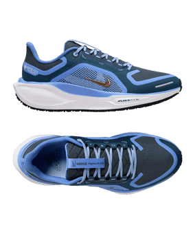 Nike Air Zoom Pegasus 41 GTX Laufschuh Damen Blau F400 - blau