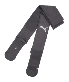 PUMA TeamLIGA26 Strumpfstutzen Grau F13 - grau