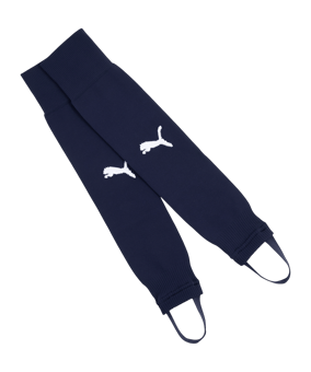 PUMA TeamLIGA26 Stegstutzen Blau F06 - blau