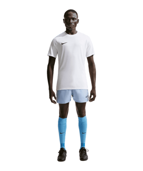 Nike Park VIII Trikot Weiß F100