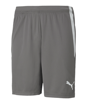 PUMA teamLIGA Short Grau Weiss F13 - grau