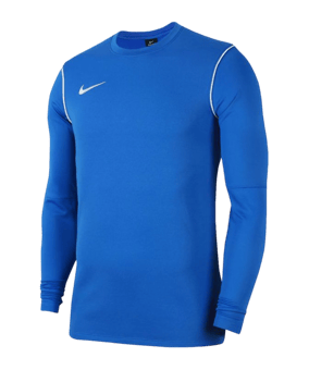 Nike Park 20 Sweatshirt Kids Blau Weiss F463 - blau