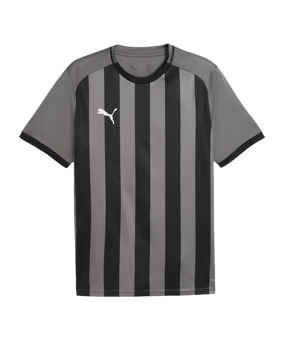 PUMA teamLIGA26 Striped Trikot Grau F13 - grau