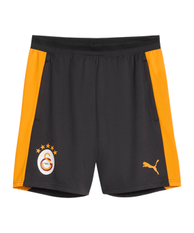 PUMA Galatasaray Istanbul Training Short Grau F06 - grau