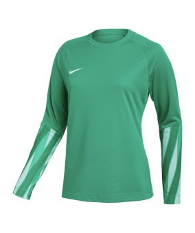 Nike Park V Torwarttrikot Langarm Damen Grün F324 - gruen