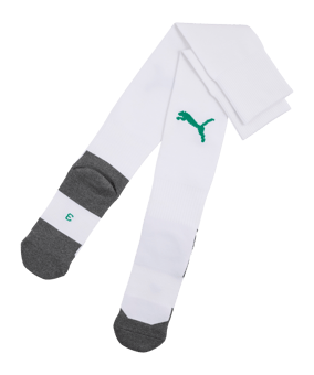 PUMA teamLIGA26 Core Strumpfstutzen Weiß F15 - weiss