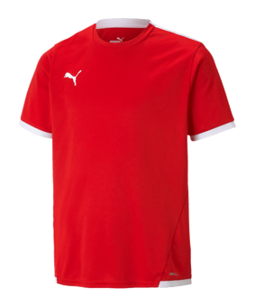 PUMA teamLIGA Trikot Kids Rot F01 - rot