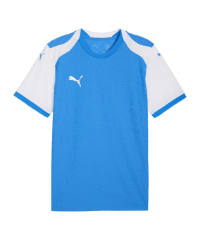 PUMA teamFINAL26 Knit Trikot Blau F02 - blau