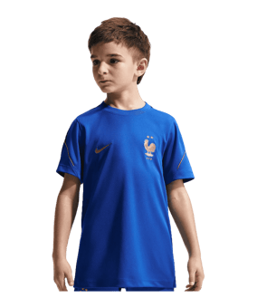 Nike FFF Frankreich Trainingsshirt Kids Blau F480 - blau
