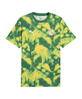 PUMA FSF Senegal FtblCulture AOP T-Shirt Grün F20 - gruen