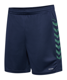 Hummel hmlSTALTIC Poly Short Blau F7209 - blau