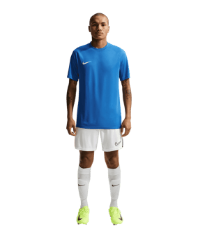 Nike Park VIII Trikot Blau F463