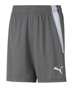 PUMA teamLIGA Short Kids Grau Weiss F13 - grau
