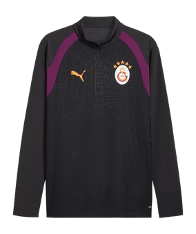 PUMA Galatasaray Istanbul Training 14 Zip Top Grau F05 - grau