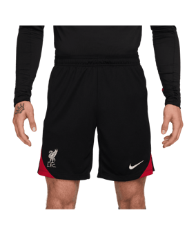Nike FC Liverpool Trainingsshort Schwarz F010 - grau