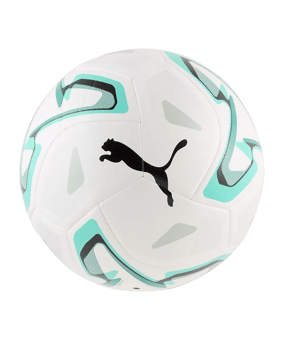 PUMA Stellar Cup Lite 290 Trainingsball Weiß F02 - weiss
