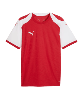 PUMA teamFINAL26 Knit Trikot Rot F01 - rot