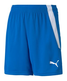 PUMA teamLIGA Shorts Kids Blau F02 - blau