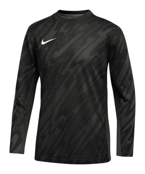 Nike Gardien V Torwarttrikot langarm Grau F060 - grau