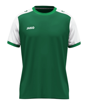 JAKO Dynamic KA Trikot Grün F205 - gruen