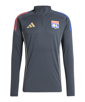 adidas Olympique Lyon Competition Sweatshirt Grau Training To Grey - grau