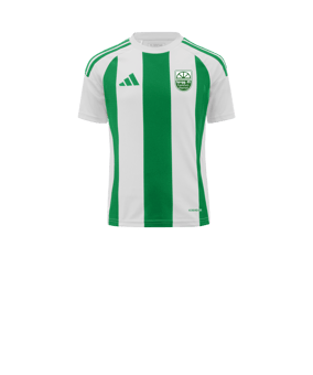 adidas Striped 24 Trikot Kids Weiss Grün