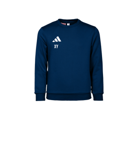 adidas Entrada 26 Sweatshirt Kids Blau