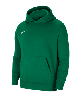 Nike Park 20 Fleece Hoody Kids Grün Weiss F302 - gruen