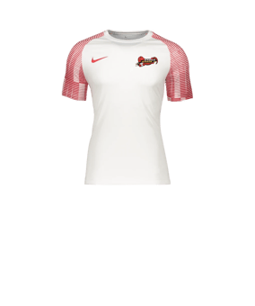 Nike Academy Trikot Kids Weiss Rot F100