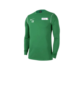 Nike Park 20 Sweatshirt Kids Grün Weiss F302