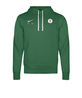 Nike Park 26 Hoody Grün F302