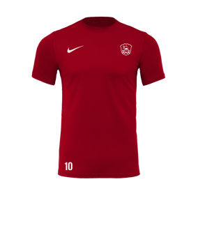 Nike Park VII Trikot kurzarm Rot F657