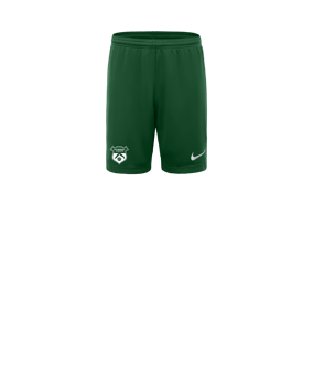 Nike Park III Pantalones cortos Niños Verde C302 