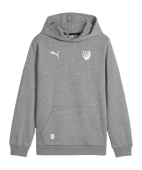 PUMA teamGOAL Casuals Hoody Kids Grau F33