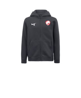 Veste à capuche en polaire Nike Park 20 enfants Gris F071