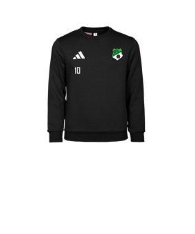 adidas Entrada 26 Sweatshirt Kids Schwarz