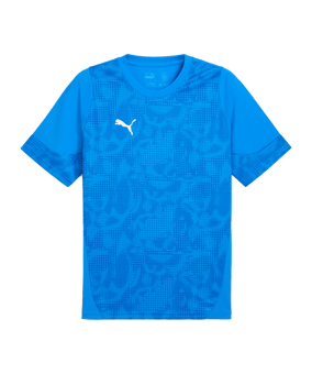 PUMA teamCUP Trikot Blau F002 - blau