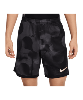 Nike Academy Short Grau F010 - grau