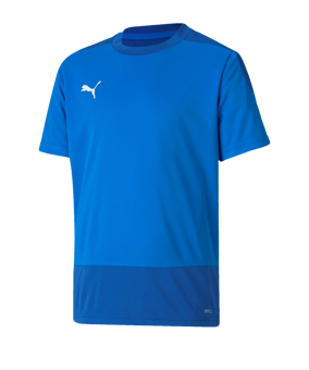 PUMA teamGOAL 23 Training Trikot Kids Blau F02 - blau